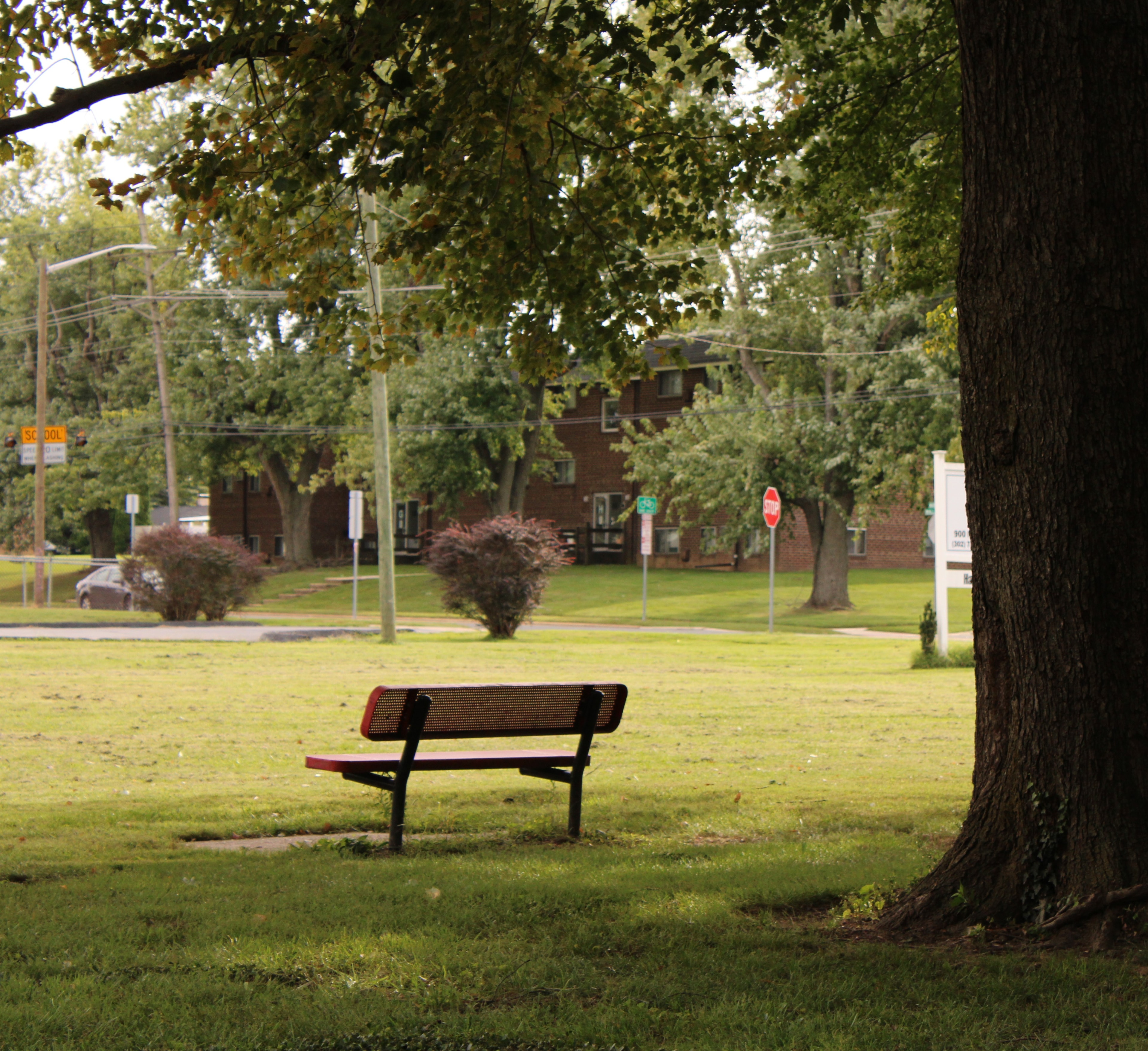 Park bench beneath mature trees in Brookside Park